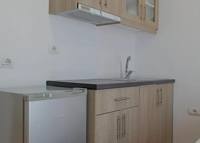 Pensionat Vila Aurora 3*